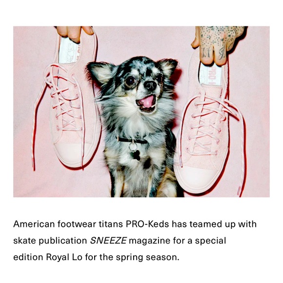 Pro-Keds x Snooze collaboration sneakers - Picture 1 of 10